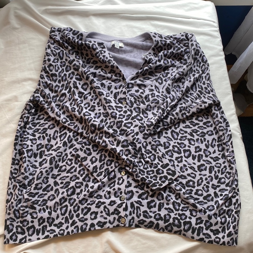 Cheetah Print Sweater